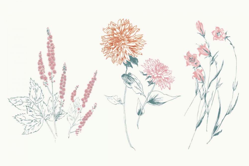Flowers on White VIII Contemporary Bright art print by Wild Apple Portfolio for $57.95 CAD