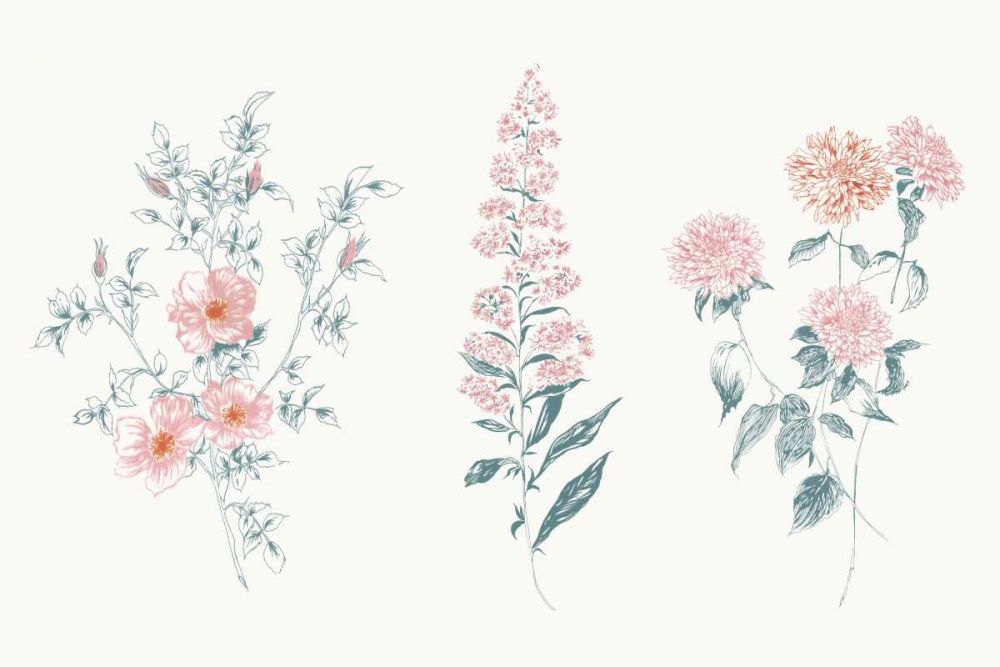Flowers on White IX Contemporary Bright art print by Wild Apple Portfolio for $57.95 CAD