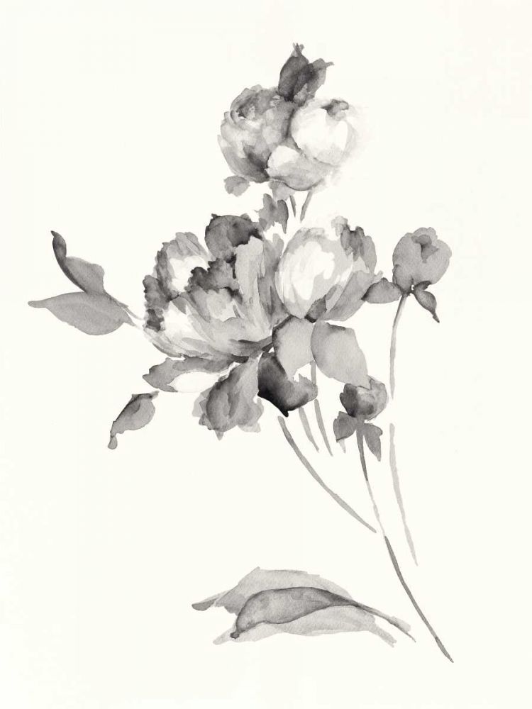 Peony Blossoms Gray Crop art print by Wild Apple Portfolio for $57.95 CAD