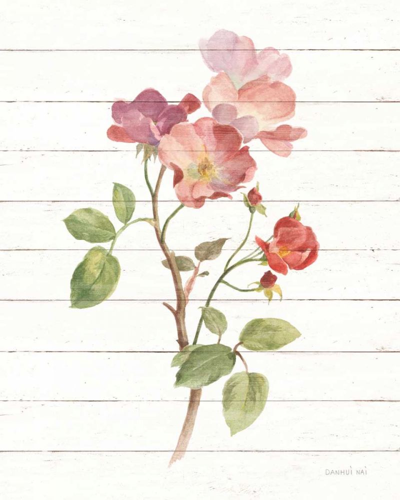 Sprigs of Summer I art print by Danhui Nai for $57.95 CAD