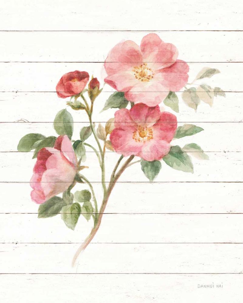 Sprigs of Summer II art print by Danhui Nai for $57.95 CAD