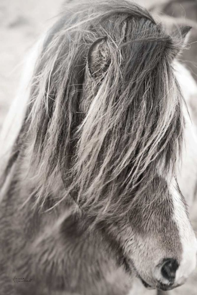 Elska I BW art print by Laura Marshall for $57.95 CAD