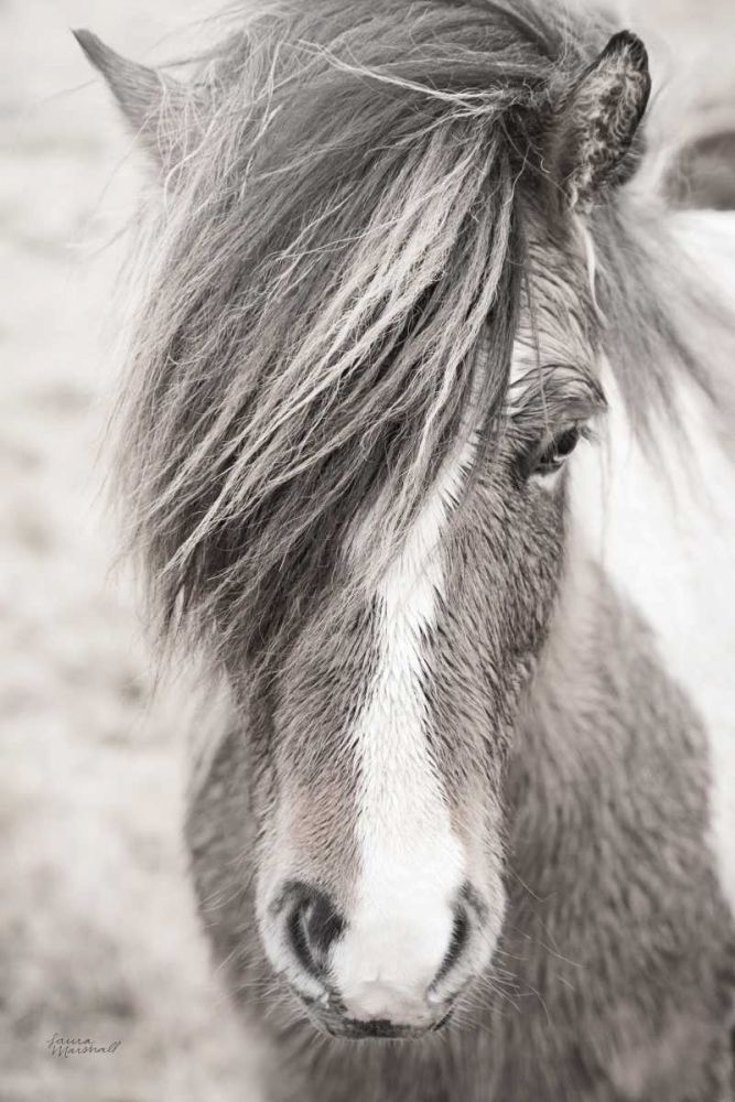 Elska II BW art print by Laura Marshall for $57.95 CAD