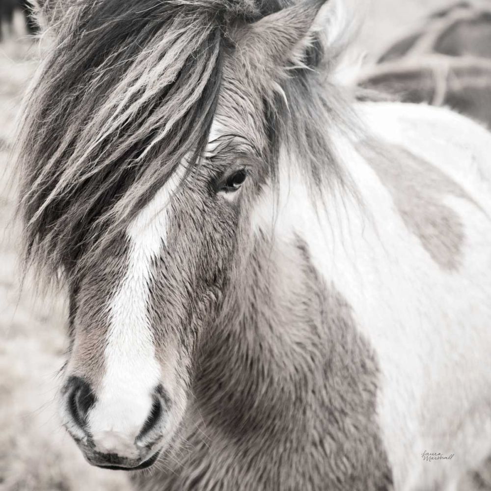 Elska IV BW art print by Laura Marshall for $57.95 CAD