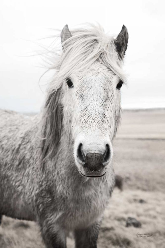 Heida I BW art print by Laura Marshall for $57.95 CAD