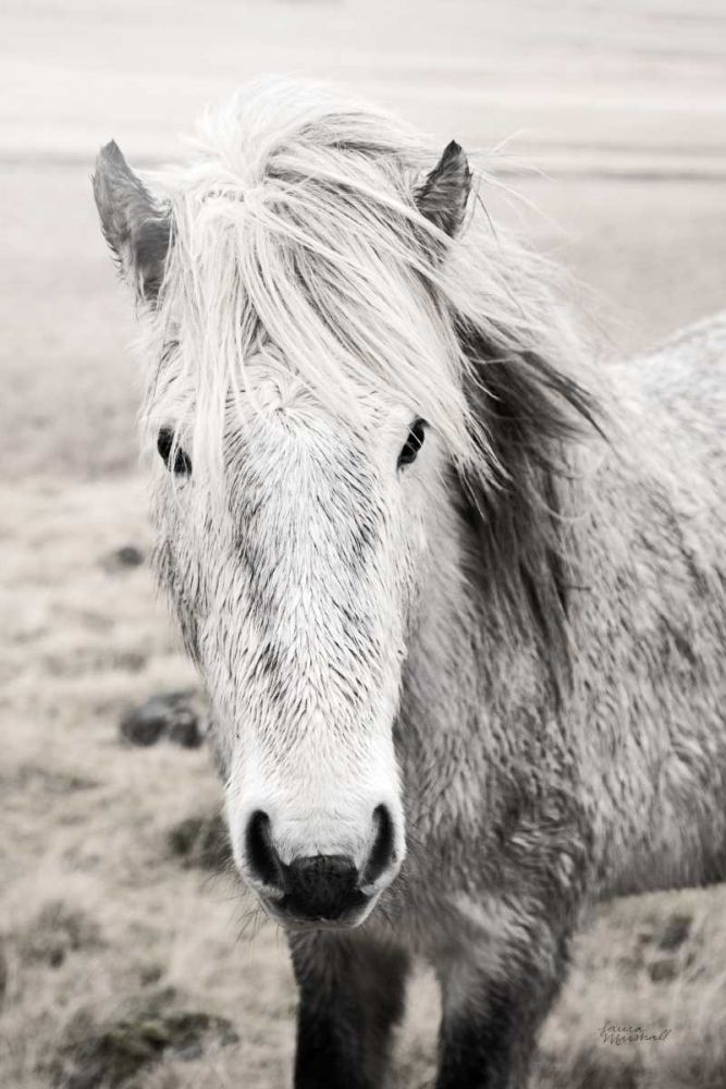 Heida II BW art print by Laura Marshall for $57.95 CAD