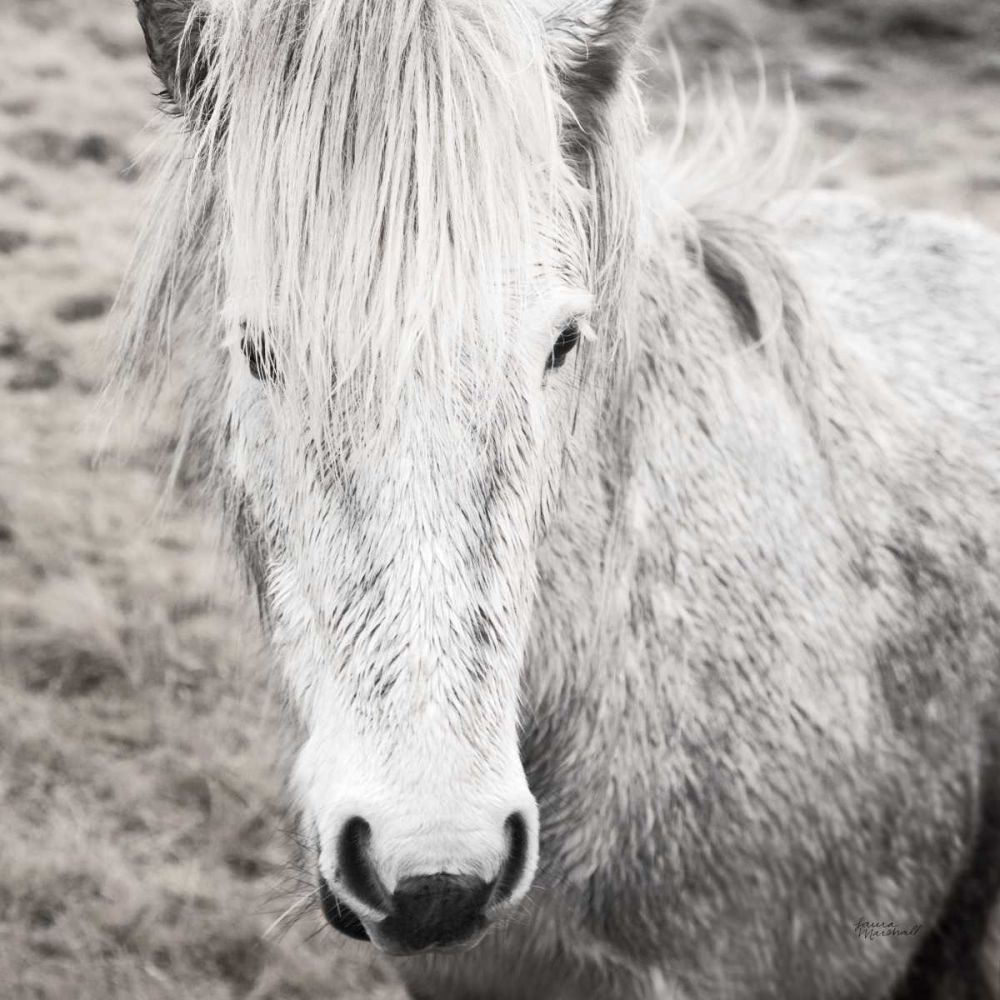Heida IV BW art print by Laura Marshall for $57.95 CAD
