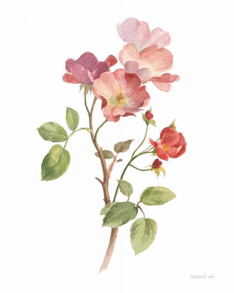 Sprigs of Summer I on White art print by Danhui Nai for $57.95 CAD