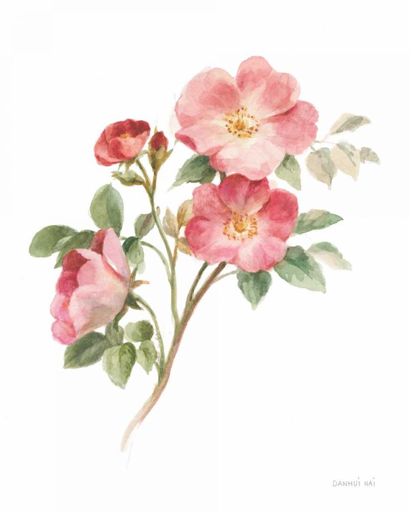 Sprigs of Summer II on White art print by Danhui Nai for $57.95 CAD