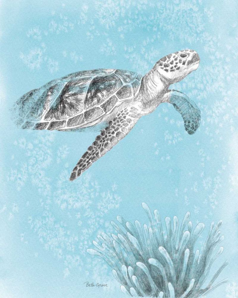 Coastal Sea Life I v2 art print by Beth Grove for $57.95 CAD