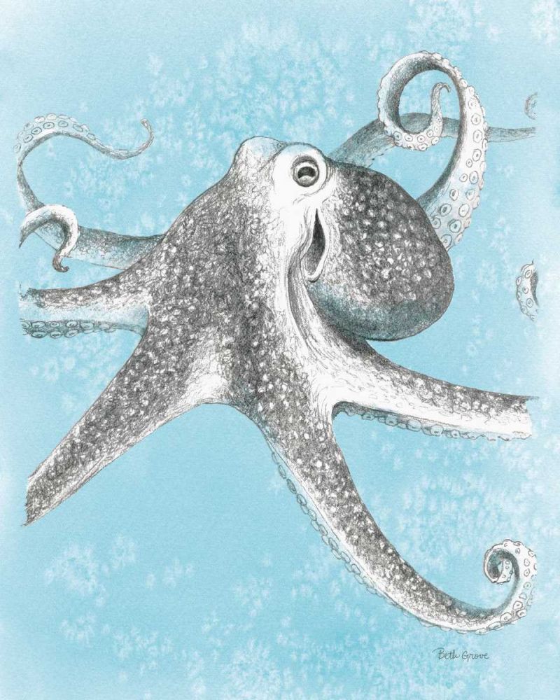 Coastal Sea Life II v2 art print by Beth Grove for $57.95 CAD