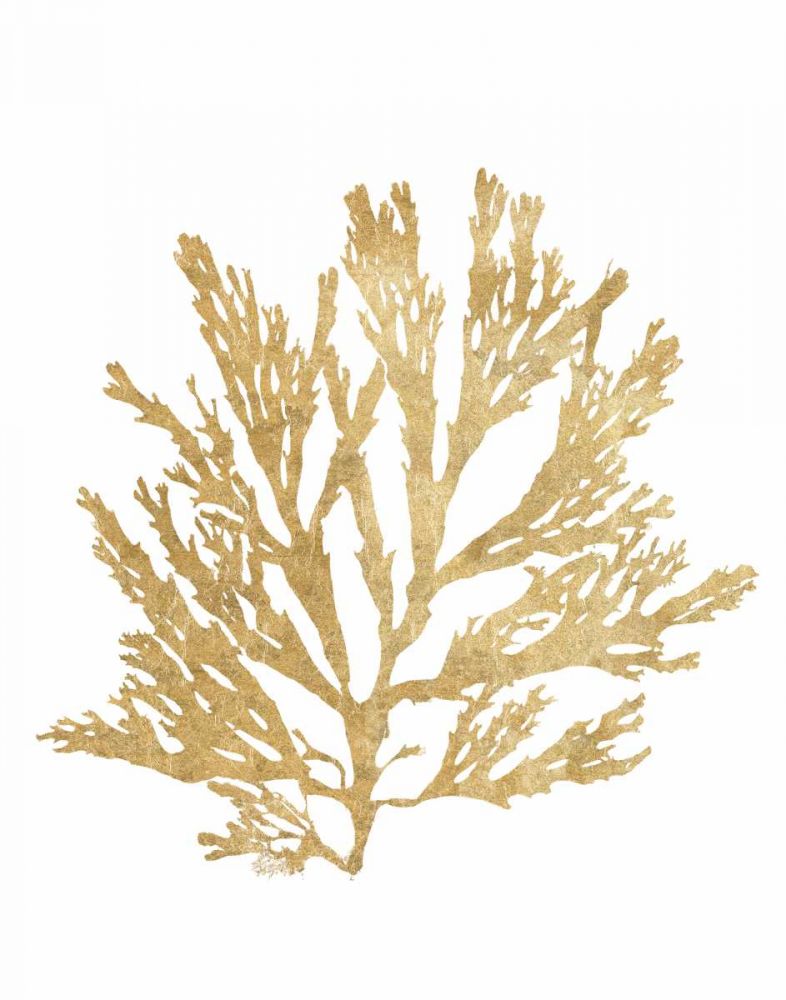 Pacific Sea Mosses I Gold art print by Wild Apple Portfolio for $57.95 CAD