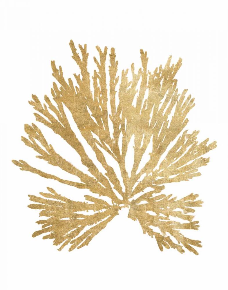 Pacific Sea Mosses II Gold art print by Wild Apple Portfolio for $57.95 CAD