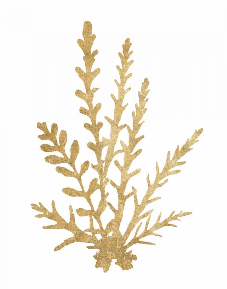 Pacific Sea Mosses III Gold art print by Wild Apple Portfolio for $57.95 CAD