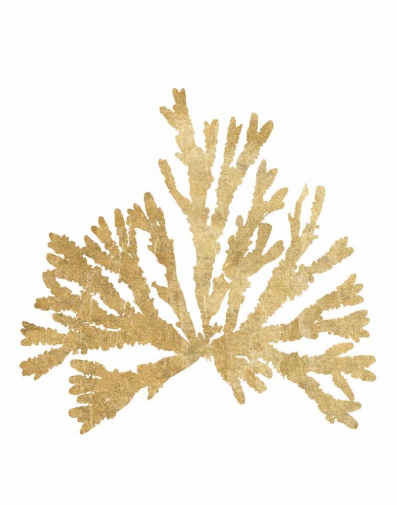 Pacific Sea Mosses IV Gold art print by Wild Apple Portfolio for $57.95 CAD