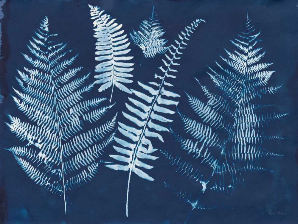 Nature By The Lake - Ferns I art print by Piper Rhue for $57.95 CAD