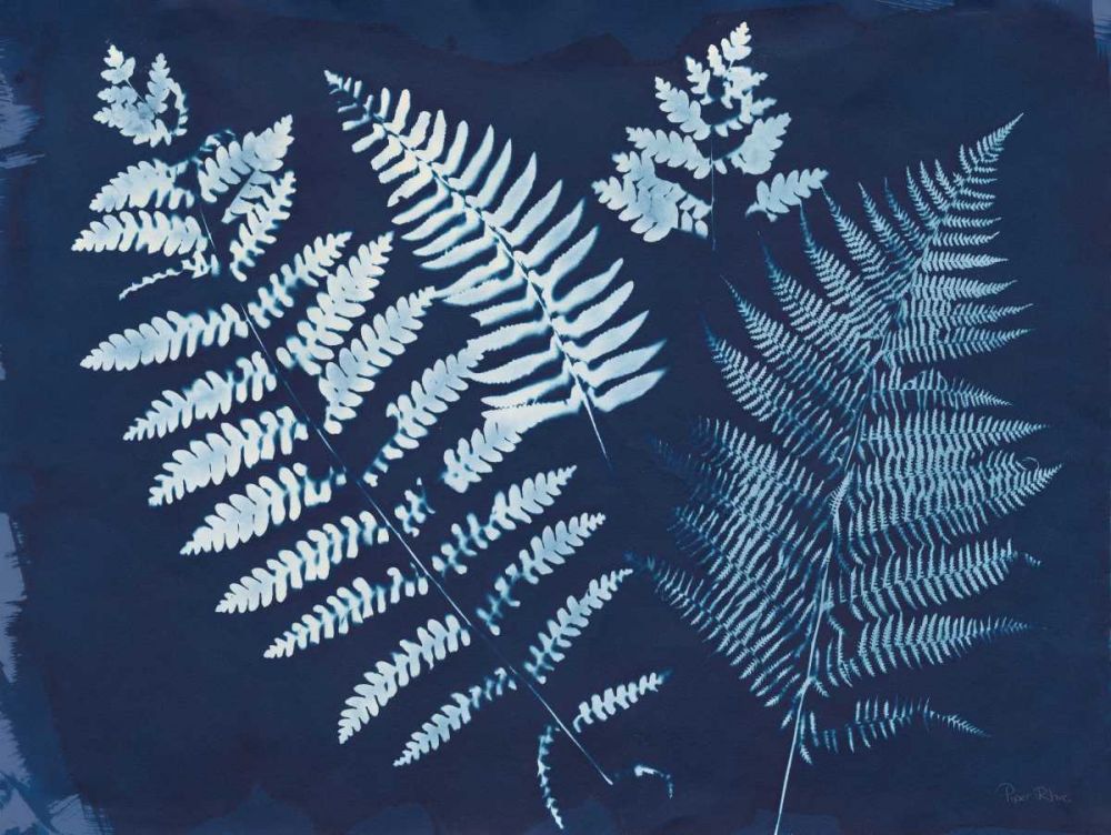 Nature By The Lake - Ferns II art print by Piper Rhue for $57.95 CAD