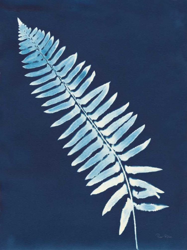 Nature By The Lake - Ferns IV art print by Piper Rhue for $57.95 CAD