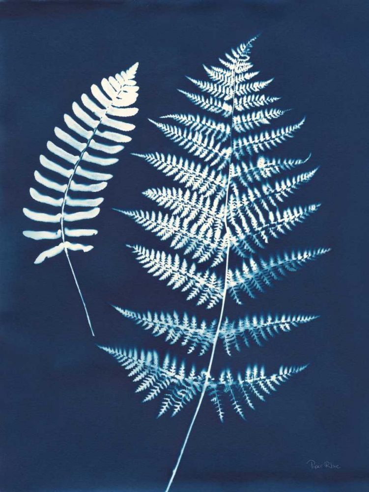 Nature By The Lake - Ferns V art print by Piper Rhue for $57.95 CAD