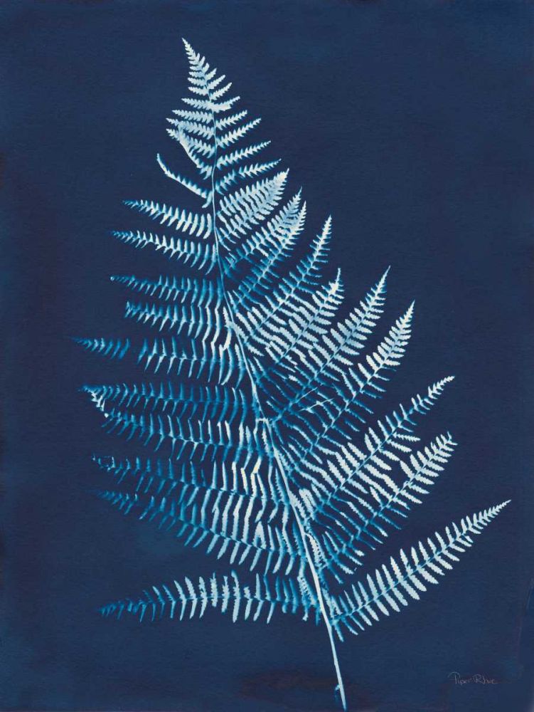 Nature By The Lake - Ferns VI art print by Piper Rhue for $57.95 CAD
