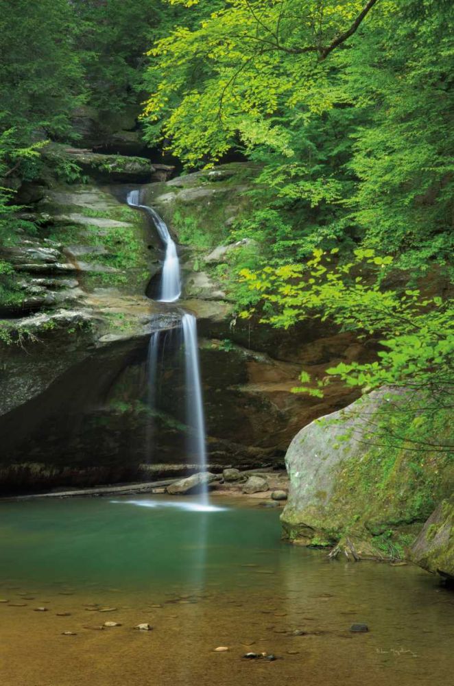 Lower Falls Old Mans Cave art print by Alan Majchrowicz for $57.95 CAD