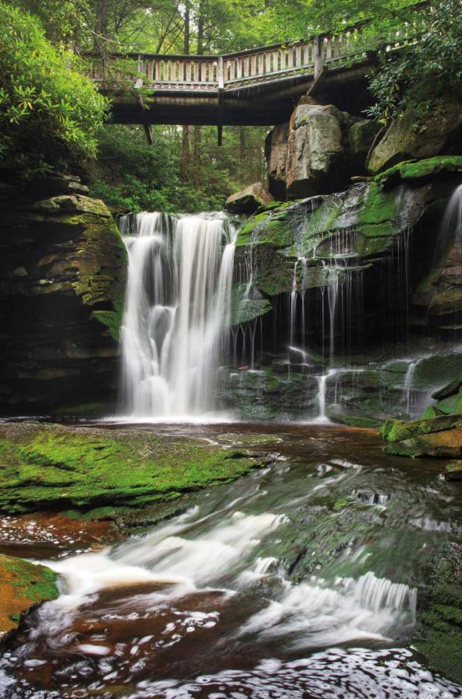 Elakala Falls West I art print by Alan Majchrowicz for $57.95 CAD