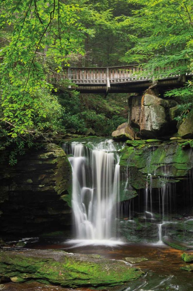 Elakala Falls West II art print by Alan Majchrowicz for $57.95 CAD
