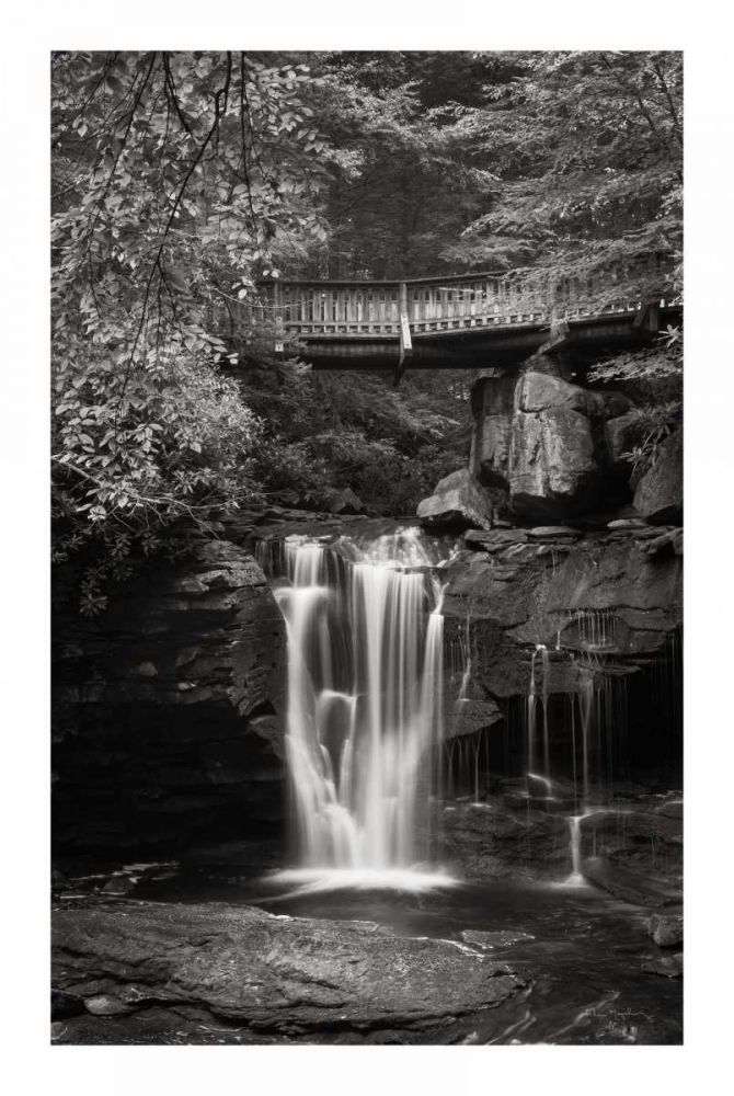 Elakala Falls West II BW art print by Alan Majchrowicz for $57.95 CAD