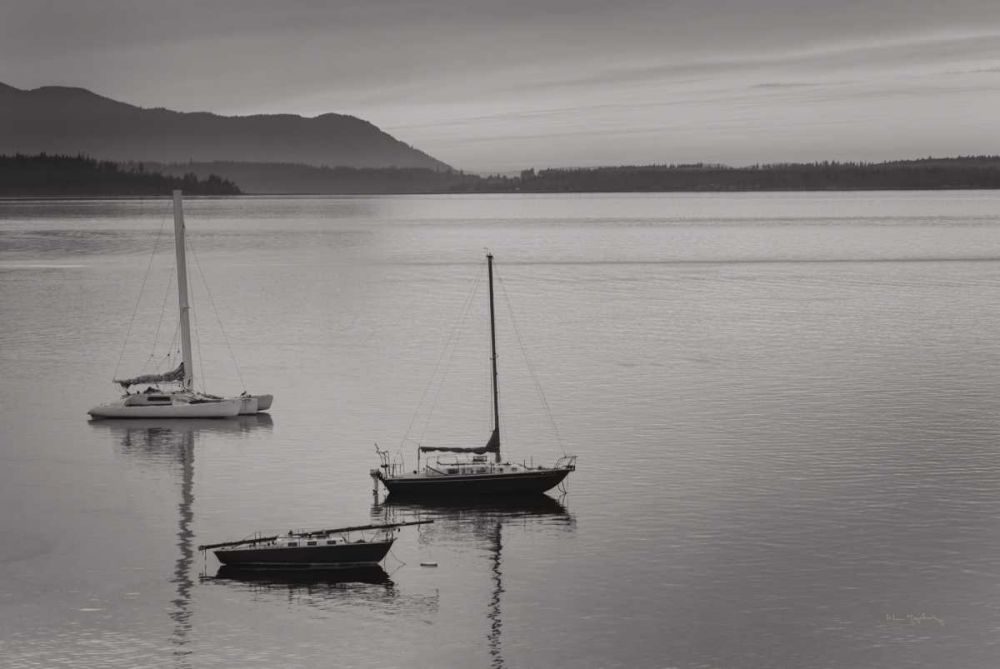 Bellingham Bay BW art print by Alan Majchrowicz for $57.95 CAD