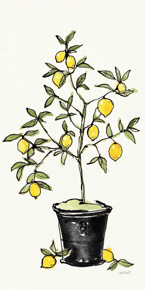 Citron V art print by Anne Tavoletti for $57.95 CAD
