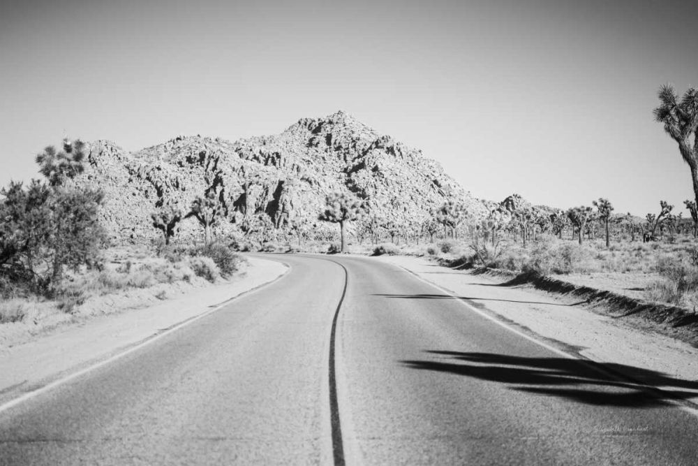 Road Trip I art print by Elizabeth Urquhart for $57.95 CAD