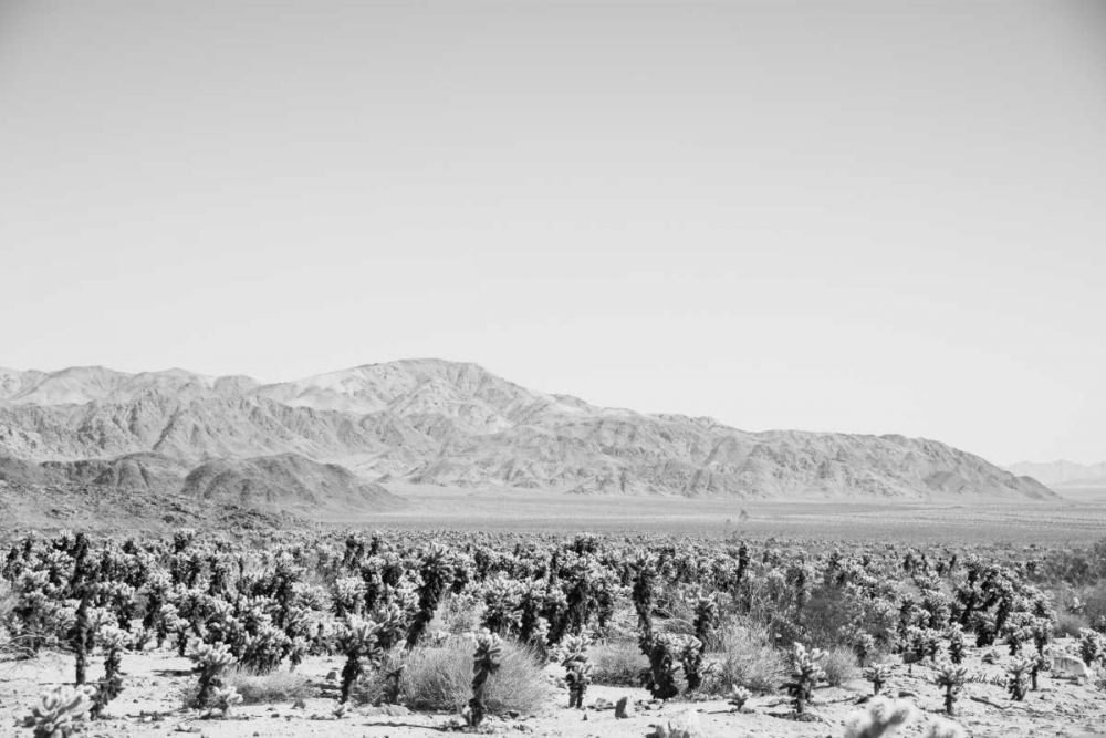 Road Trip IV art print by Elizabeth Urquhart for $57.95 CAD