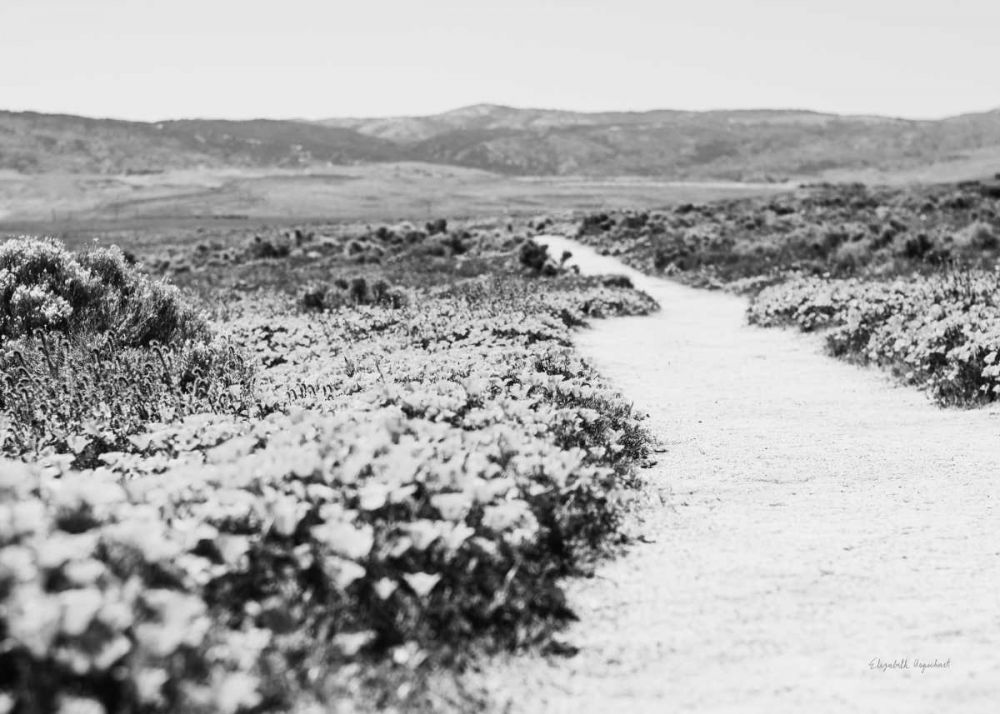 Road Trip VI Crop art print by Elizabeth Urquhart for $57.95 CAD