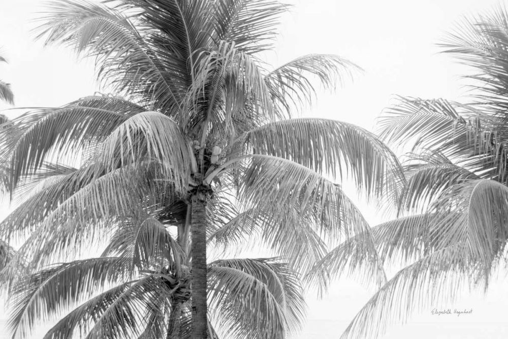 Breezy I art print by Elizabeth Urquhart for $57.95 CAD