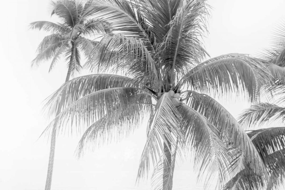 Breezy II art print by Elizabeth Urquhart for $57.95 CAD