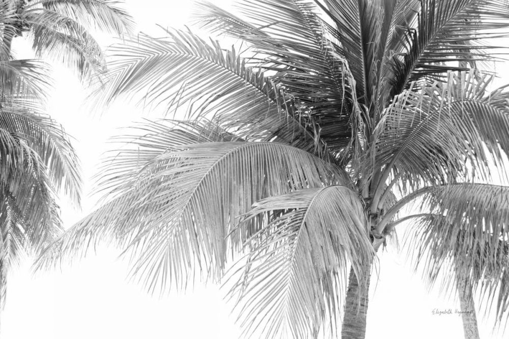 Breezy III art print by Elizabeth Urquhart for $57.95 CAD