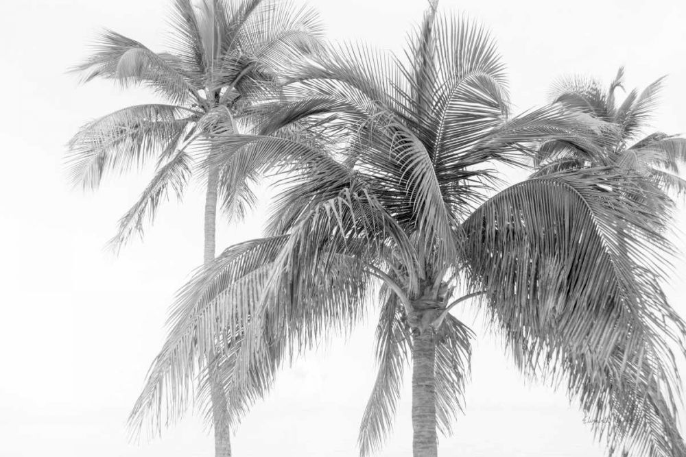 Breezy IV art print by Elizabeth Urquhart for $57.95 CAD