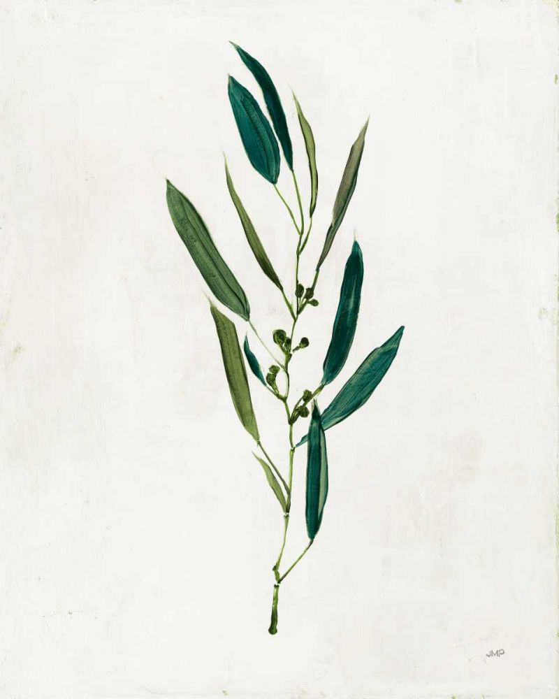 Botanical Study I Greenery art print by Julia Purinton for $57.95 CAD