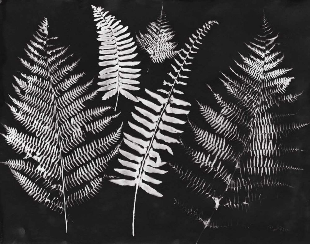Nature by the Lake Ferns I Black Crop art print by Piper Rhue for $57.95 CAD