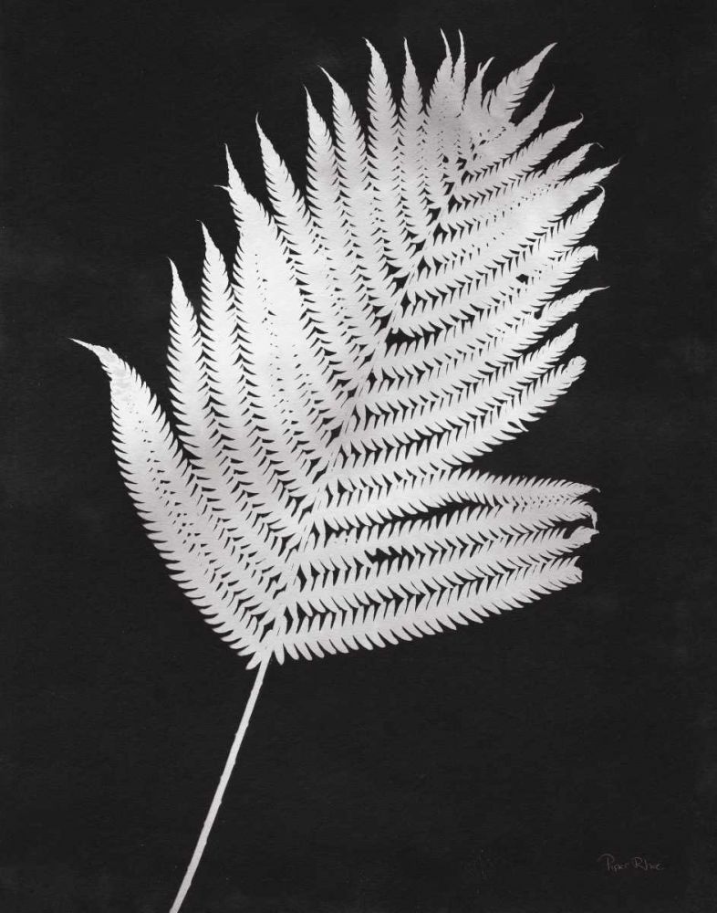 Nature by the Lake Ferns III Black Crop art print by Piper Rhue for $57.95 CAD