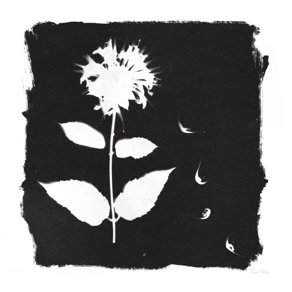 Nature by the Lake Flowers II Black art print by Piper Rhue for $57.95 CAD