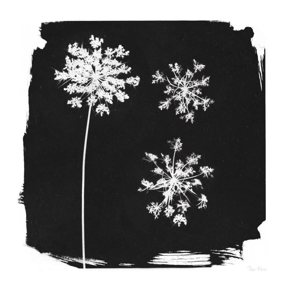 Nature by the Lake Flowers III Black art print by Piper Rhue for $57.95 CAD