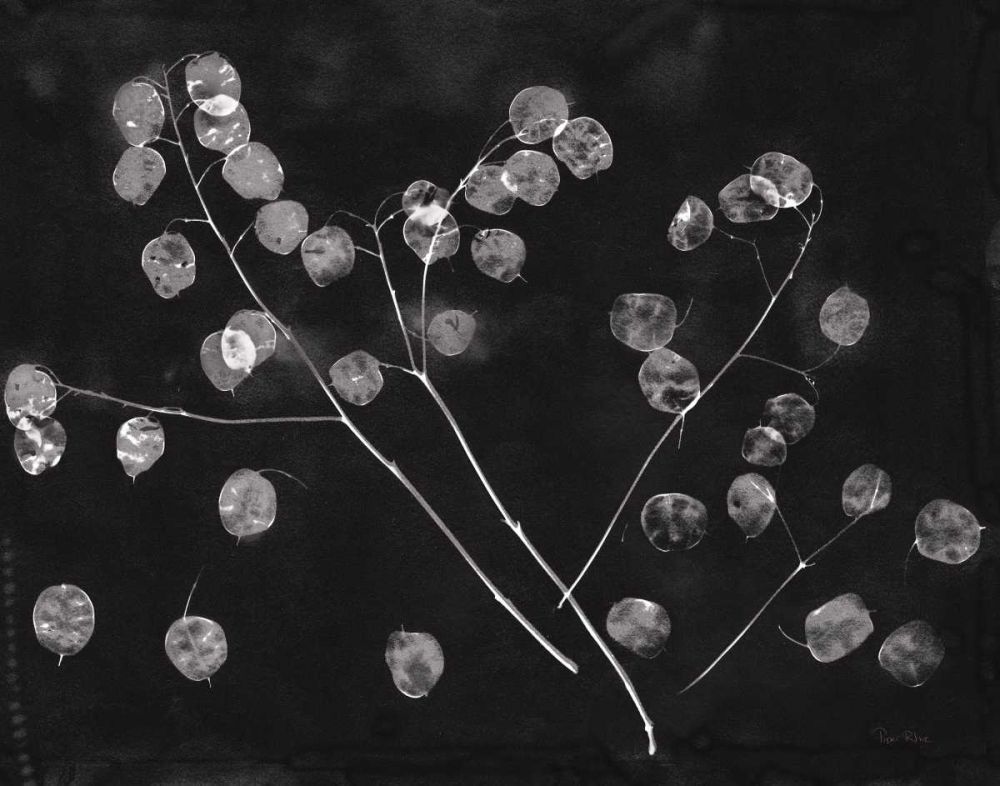 Nature by the Lake Honesty Black Crop art print by Piper Rhue for $57.95 CAD