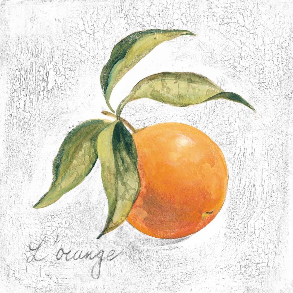 L Orange on White art print by Silvia Vassileva for $57.95 CAD