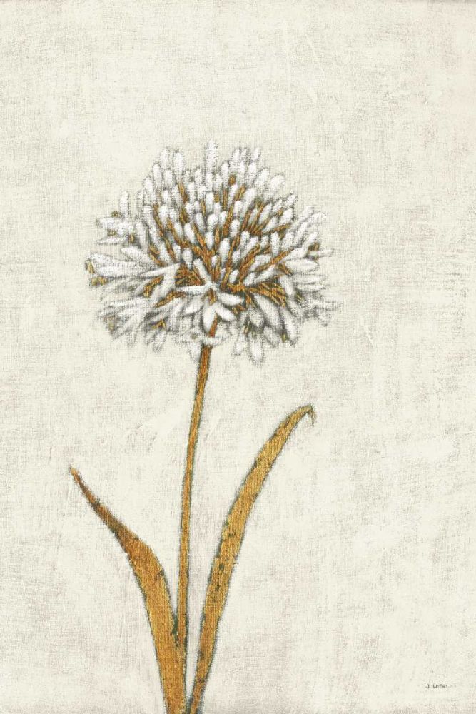 Shimmering Summer I Ivory art print by James Wiens for $57.95 CAD