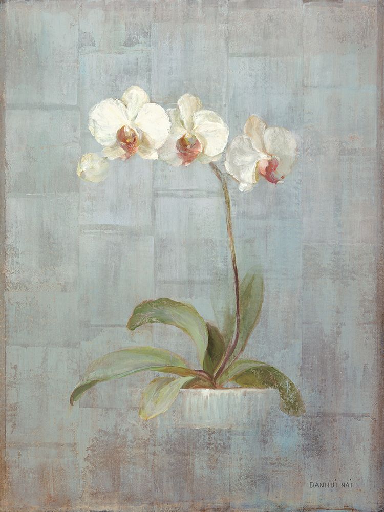 Elegant Orchid II art print by Danhui Nai for $57.95 CAD