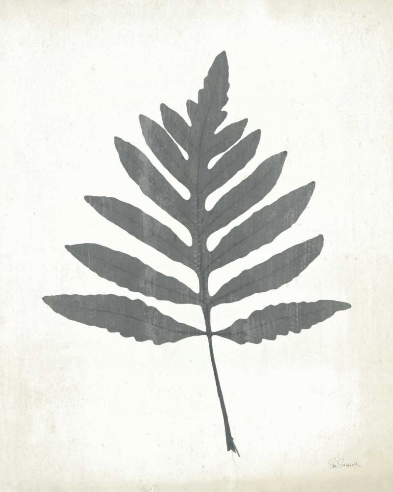 Chalkboard Fern I art print by Sue Schlabach for $57.95 CAD