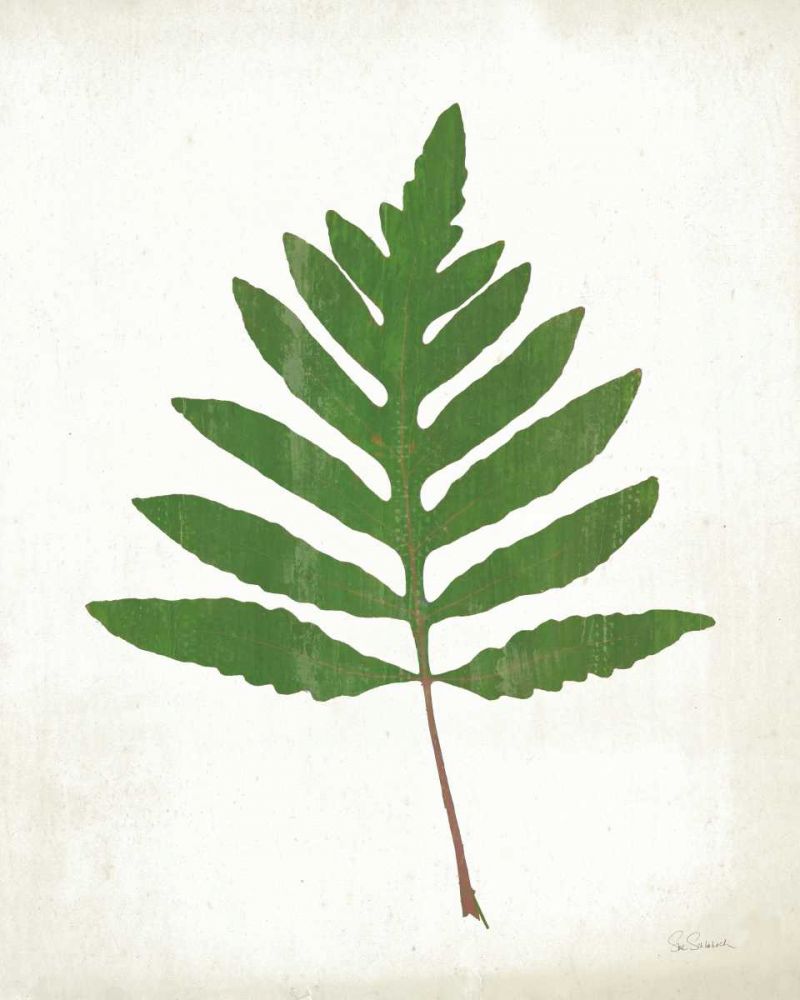 Chalkboard Fern Green I art print by Sue Schlabach for $57.95 CAD