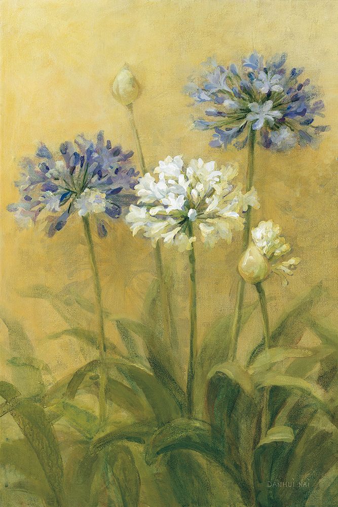 Agapanthus II art print by Danhui Nai for $57.95 CAD