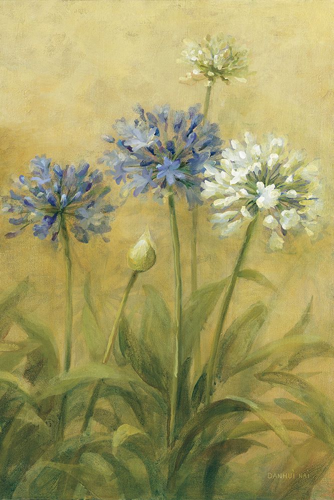 Agapanthus III art print by Danhui Nai for $57.95 CAD
